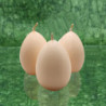 Tojás gyertya * festett - krémszínű 6 cm