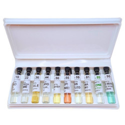 Top-Ten illatminta-doboz * 10 x 2 ml férfi parfümfiola