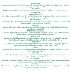 Karácsonyi csodavárás aromaterápiás illóolaj adventi naptár, 24 db különböző 2ml-es illóolaj-fiolával