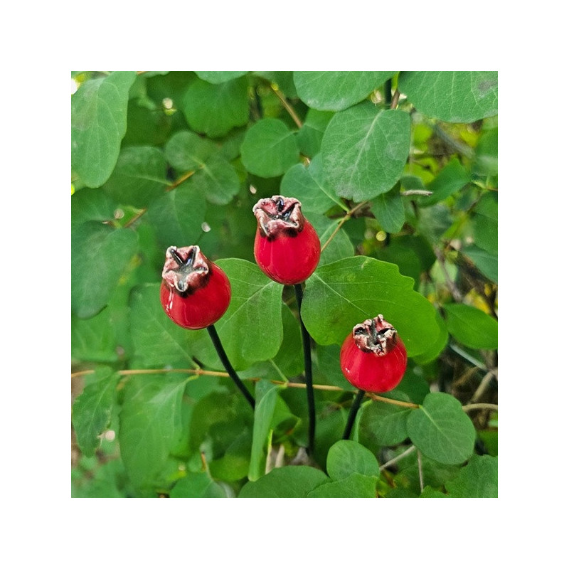 Csipkebogyó * kerámia virág